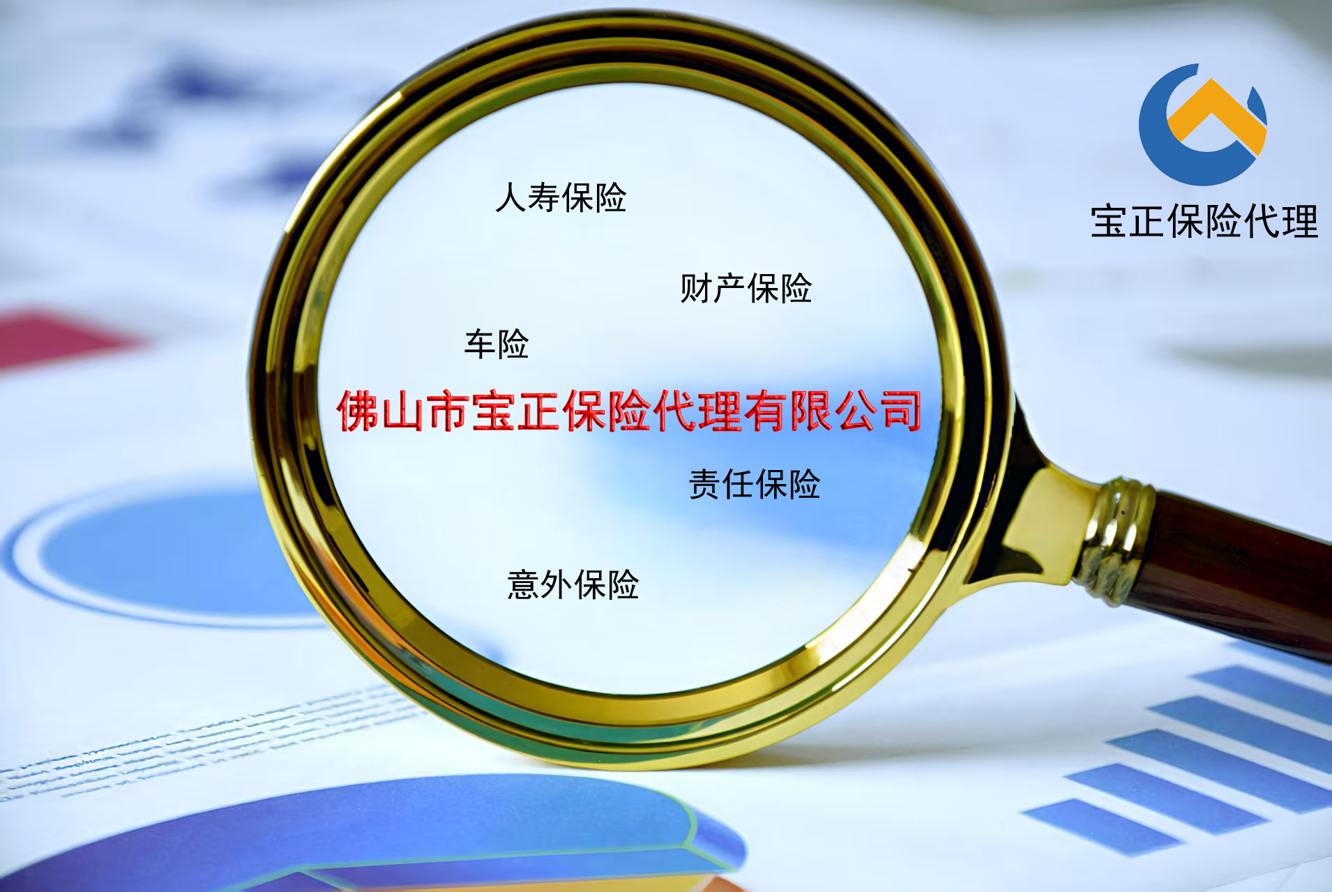 1754298239233780.jpg 宝正图2.jpg